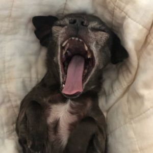 Meet your Posher, Trinity